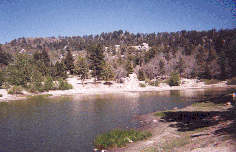 Lake Arrow-Bear